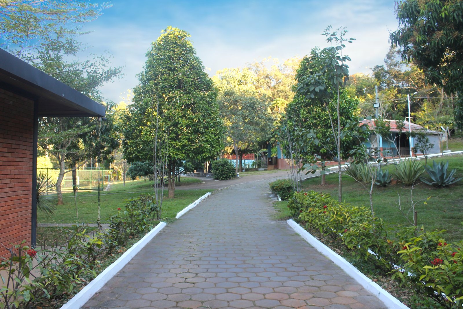 Imagem para a galeria de fotos